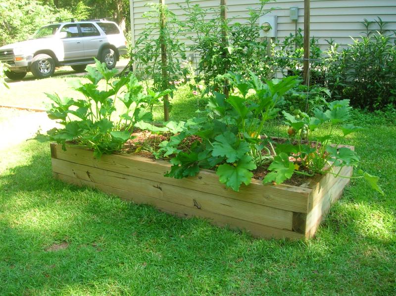 Raised Bed